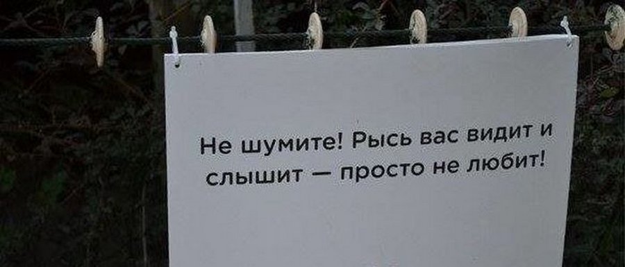 объявления