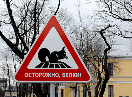 Эти предостерегающие знаки заставят улыбнуться) Эти предостерегающие знаки заставят улыбнуться)