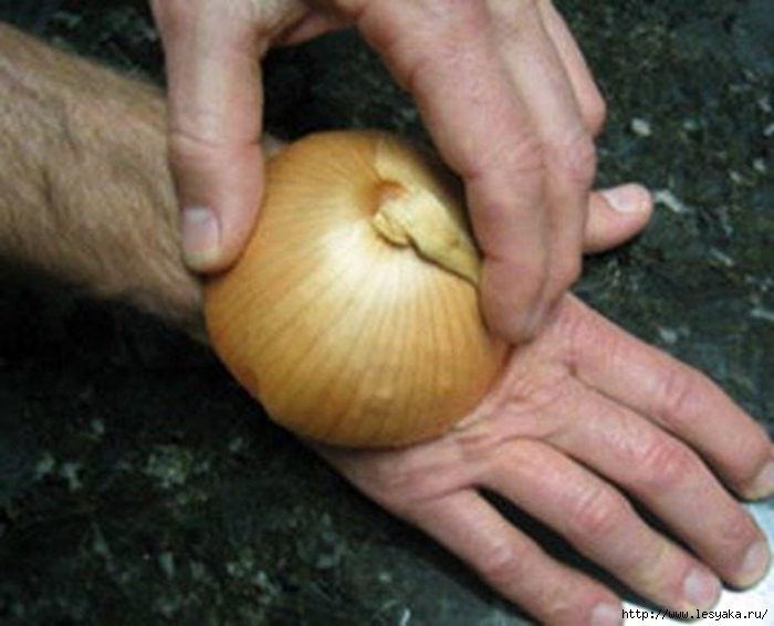 3925073_15useofonions (700x566, 206Kb)