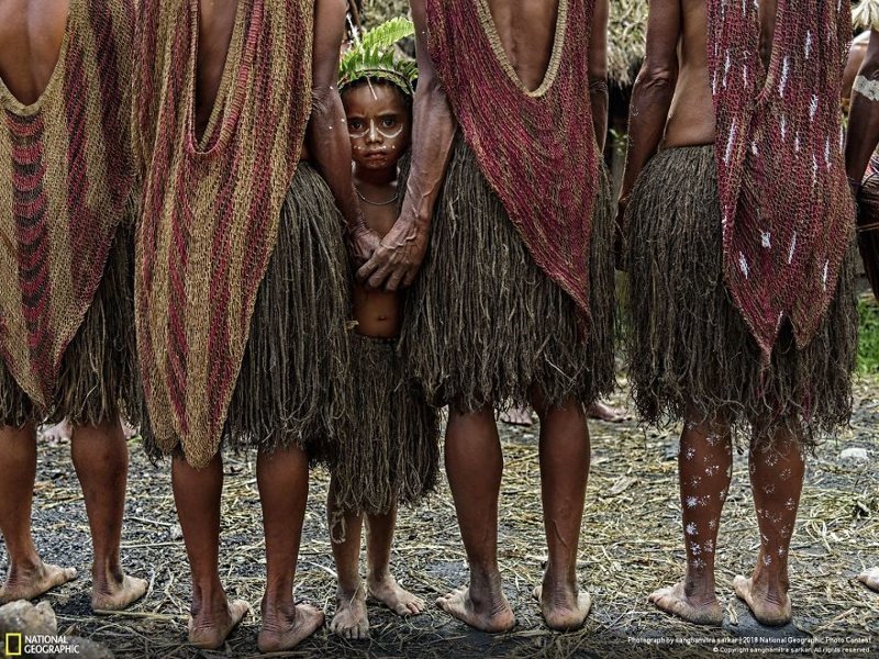 Испытующий взгляд, Сангхамитра Саркар national geographic, конкурс, красота, природа, удивительно, фото, фотография, фотоподборка