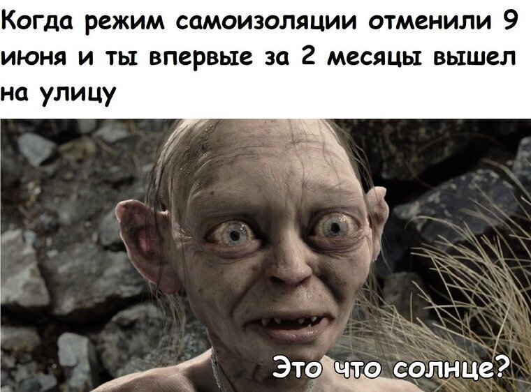 Кто себя узнал? Что подумали москвичи о внезапной отмене карантина
(18 фото)