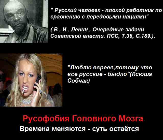 Русские – один из самых чистокровных народов в Евразии. ГЕНЕТИКИ ПОСТАВИЛИ ШАХ И МАТ РУСОФОБАМ Русские – один из самых чистокровных народов в Евразии. ГЕНЕТИКИ ПОСТАВИЛИ ШАХ И МАТ РУСОФОБАМ