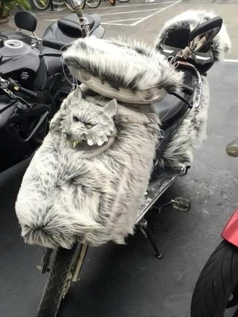 Автовсячина Автовсячина Автовсячина, авто, автомобиль, автоприкол, машина, прикол