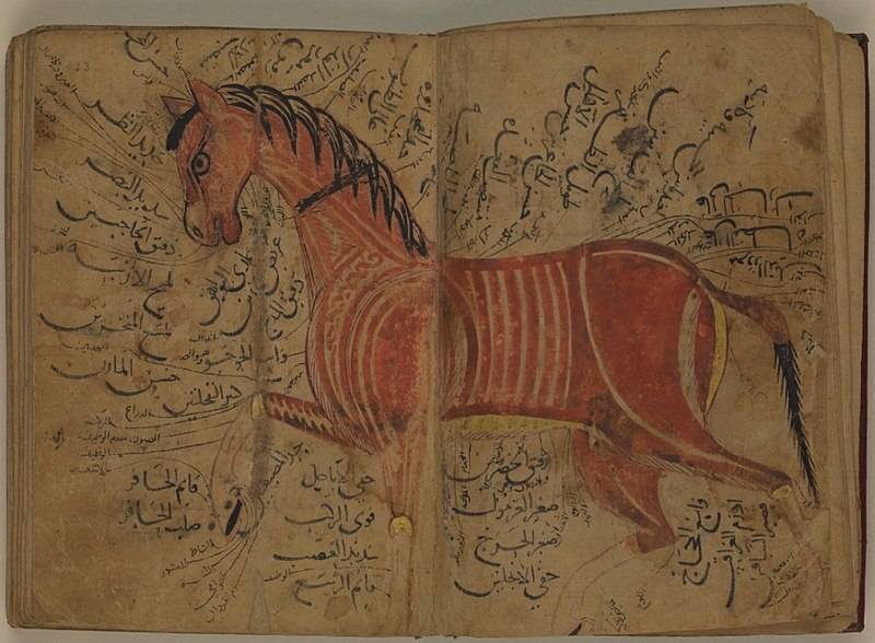 Воины Северной Африки 1050-1350 годов