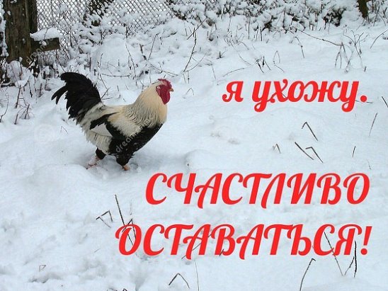 На уроке истории. Учительница спрашивает ученика... На уроке истории. Учительница спрашивает ученика...