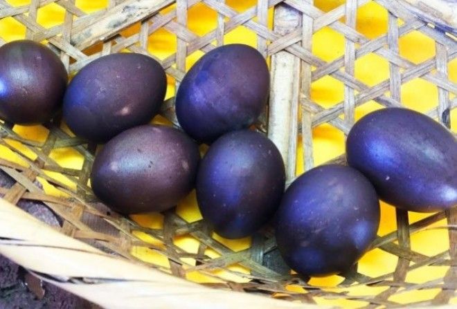 Посмотрите, что вылупилось из них