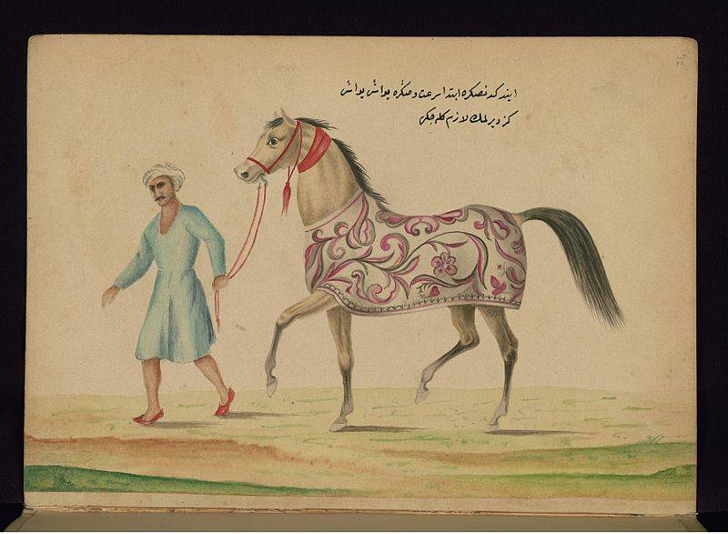 Воины Северной Африки 1050-1350 годов