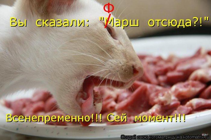 Мысли вслух :)