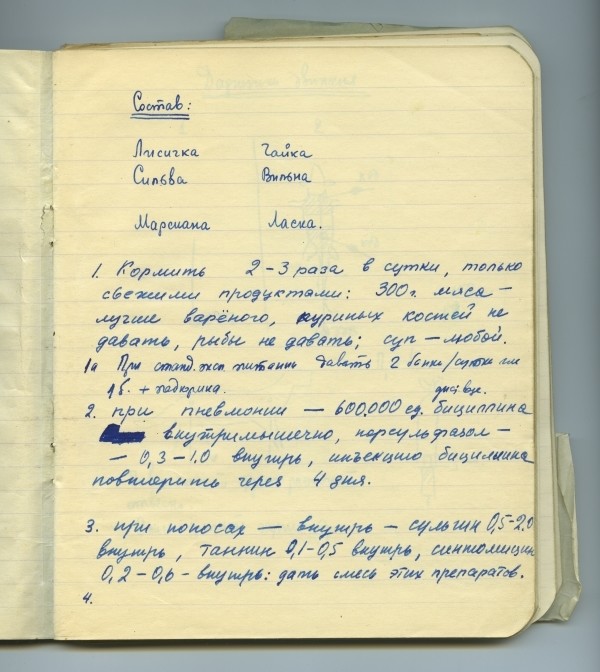 История нечеловеческого освоения космоса. Имена. Даты. Морды. И даже дневник тренировок Белки и Стре История нечеловеческого освоения космоса. Имена. Даты. Морды. И даже дневник тренировок Белки и Стре космос, это интересно