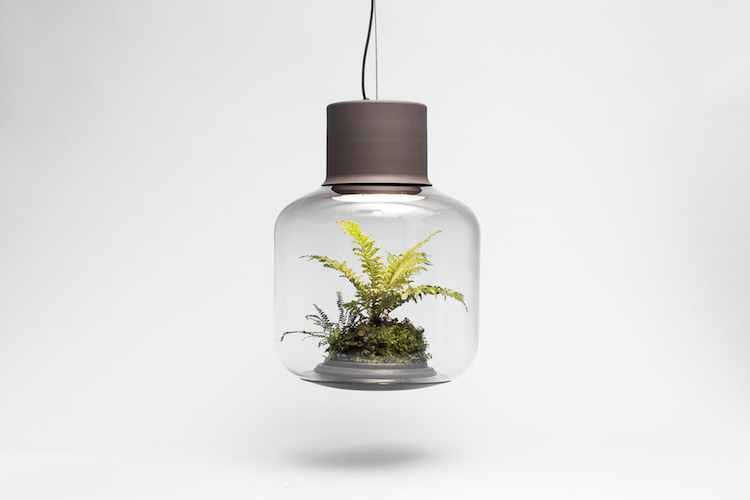 nature-inspired furniture nui studio planter lamp