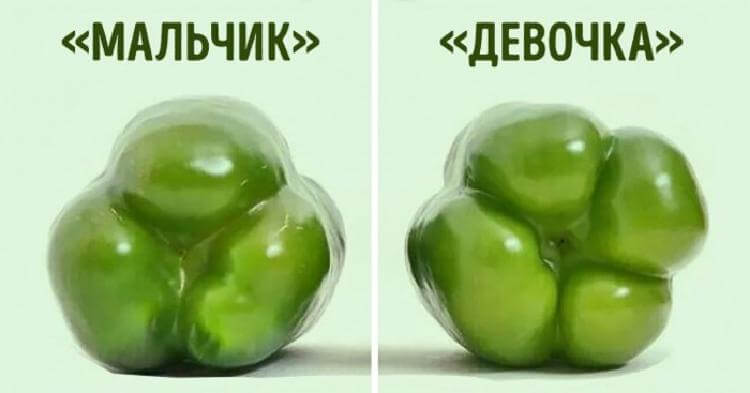 Теперь всегда кладу лук в морозильник. Узнав зачем, вы будете делать также! Теперь всегда кладу лук в морозильник. Узнав зачем, вы будете делать также!