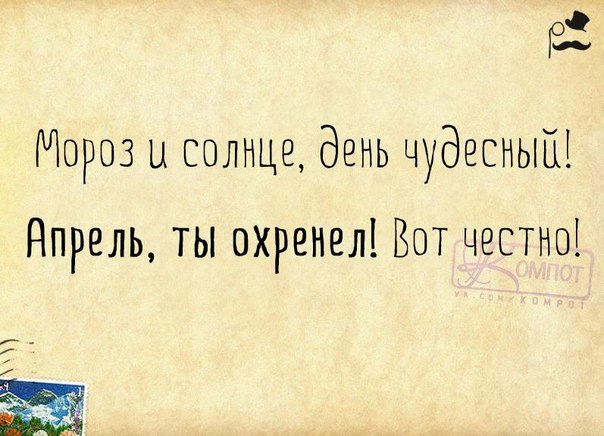 Прикольные картинки со смешными подписями, которые вызовут улыбку и поднимут настроение!