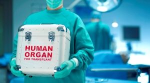Наночастицы обманывают организм, заставляя его принимать чужеродный имплант за свой Наночастицы обманывают организм, заставляя его принимать чужеродный имплант за свой