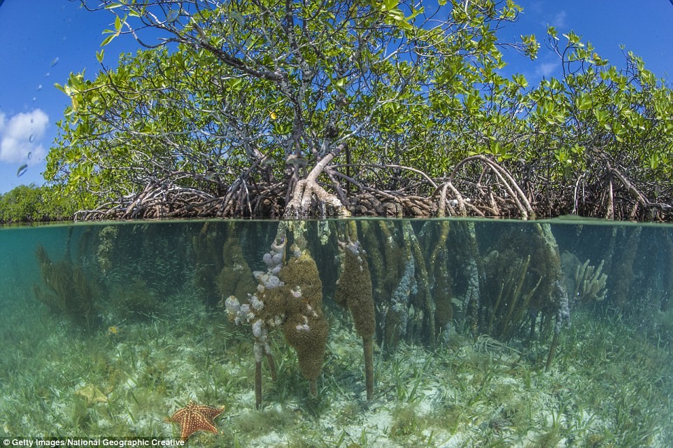 Лучшие пляжи мира по мнению National Geographic