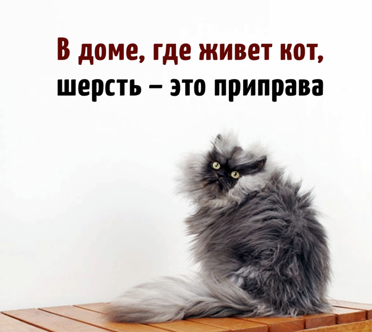 Юмор, который заряжает позитивом и щекочет интеллект