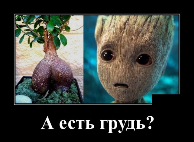 Демотиваторы Демотиваторы