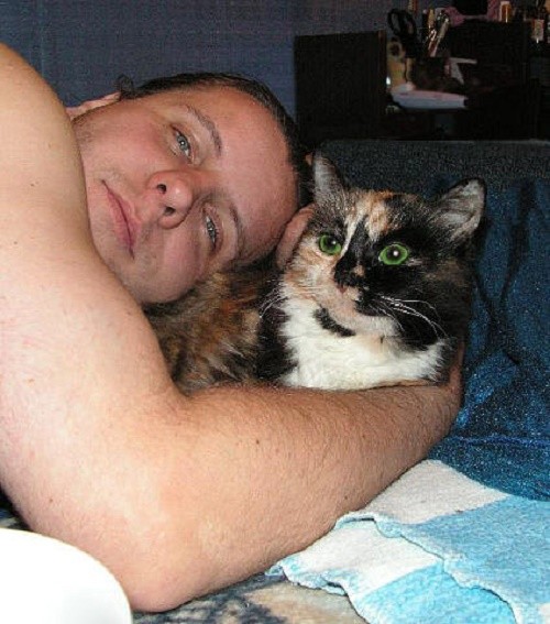 Мой любимый кошкарий Мой любимый кошкарий забота, кошки, любовь., питомцы, помощь животным
