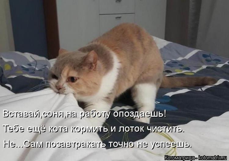 Позитив на пятницу