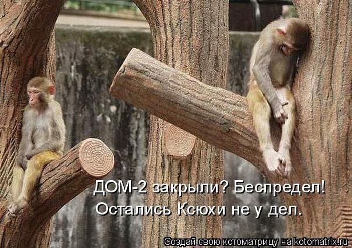Мысли вслух :)