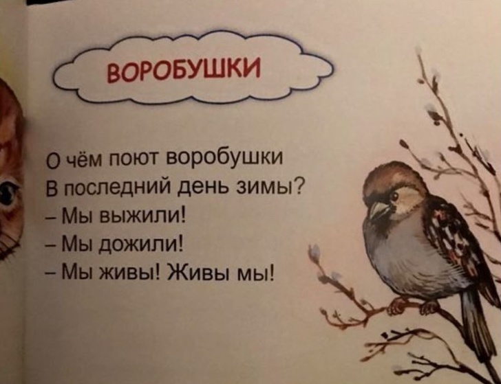То ли смеяться, то ли плакать)) Из детских учебников