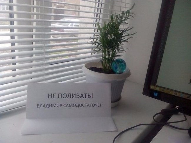 16 смешных объявлений и предупреждений