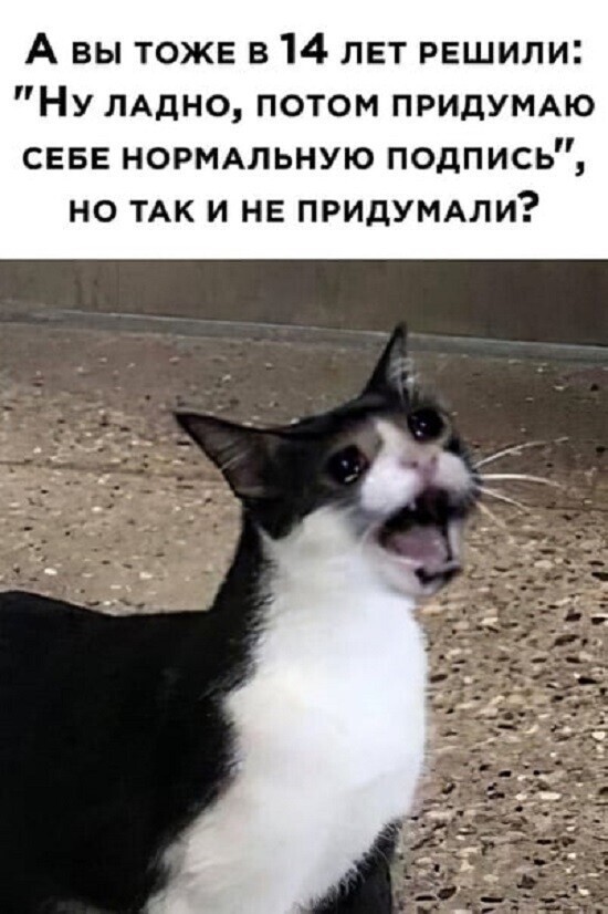 Смешные картинки Смешные картинки
(38 фото)