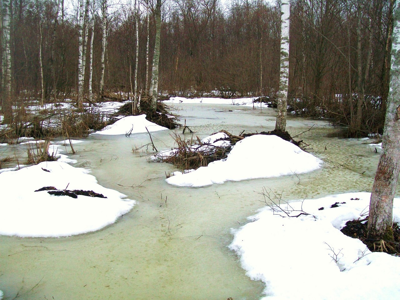 углубить и почистить пруд