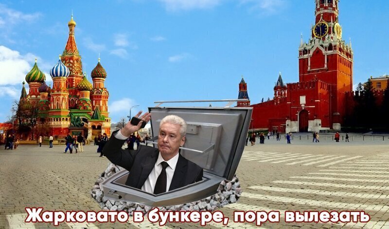 Да, на эту тему не шутил только ленивый Что подумали москвичи о внезапной отмене карантина
(18 фото)