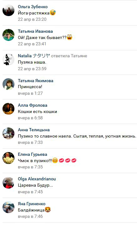 Про диких животных, которые всех удивили! Спасение ослика-сюрприза, молочного медвежонка и йога-львицы Про диких животных, которые всех удивили! Спасение ослика-сюрприза, молочного медвежонка и йога-львицы