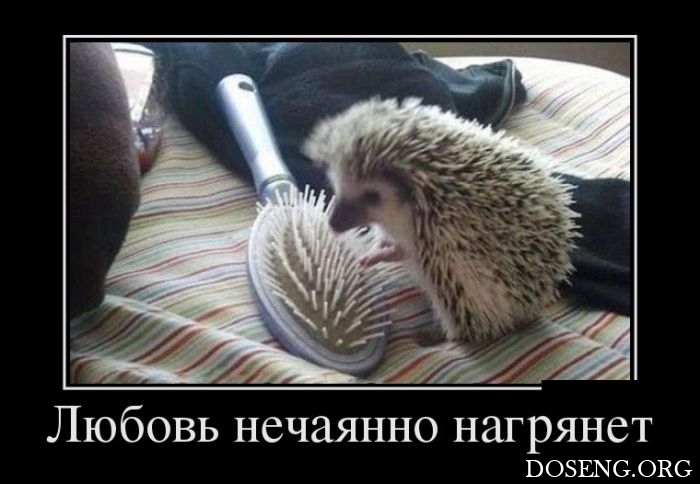 Демотиваторы Демотиваторы