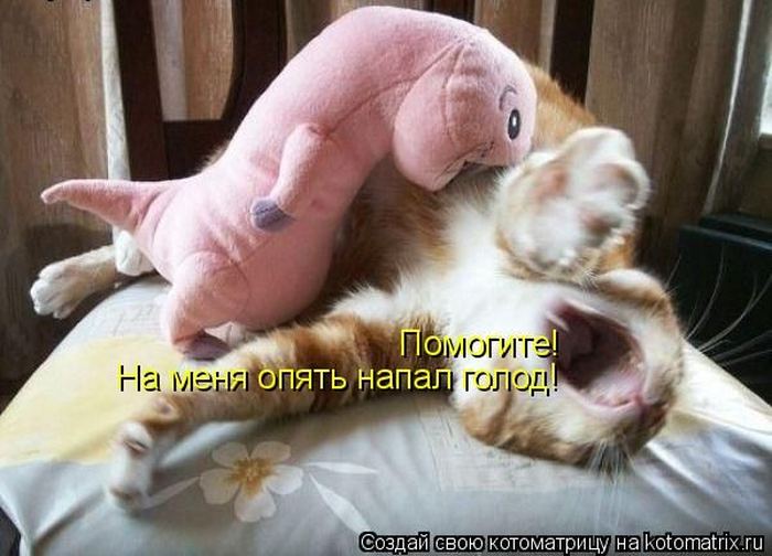 Мысли вслух :)