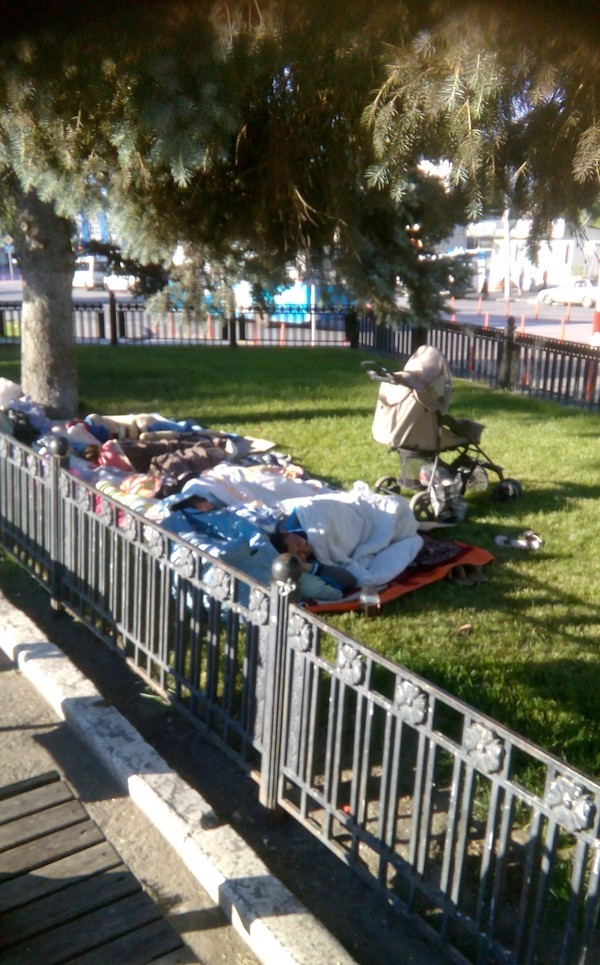 Вот такую картину можно увидеть в центре любого города Вот такую картину можно увидеть в центре любого города дети, конь, прикол, россия, спиннер, цыгане, юмор