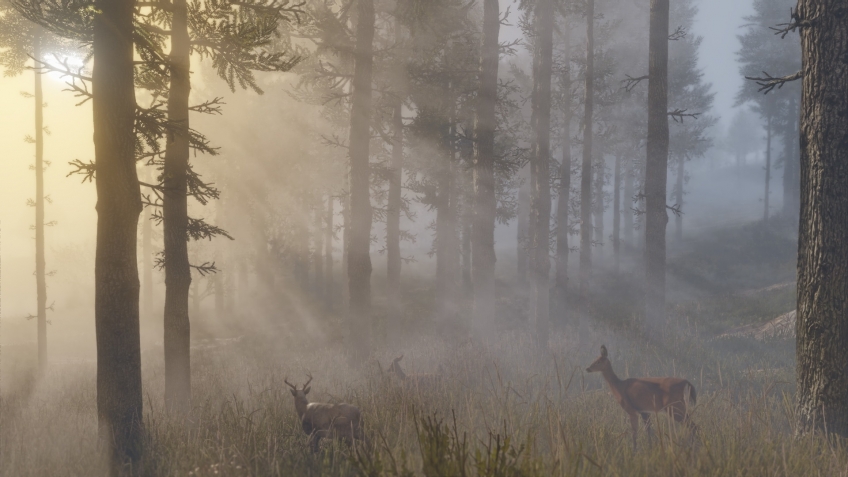 Журналисты увидели Red Dead Redemption 2 вживую — масса новых подробностей об игре Журналисты увидели Red Dead Redemption 2 вживую — масса новых подробностей об игре