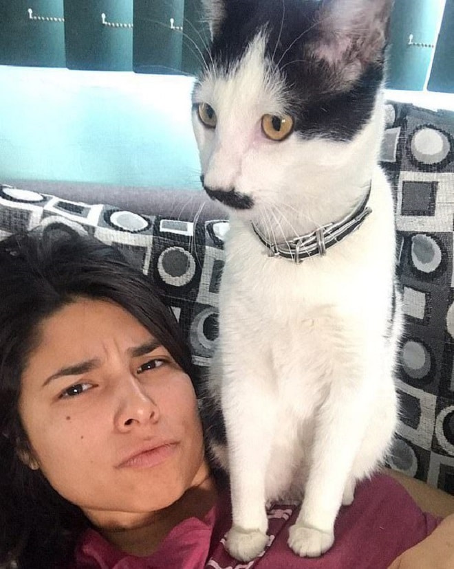Кот на хозяйке Девушка с котом