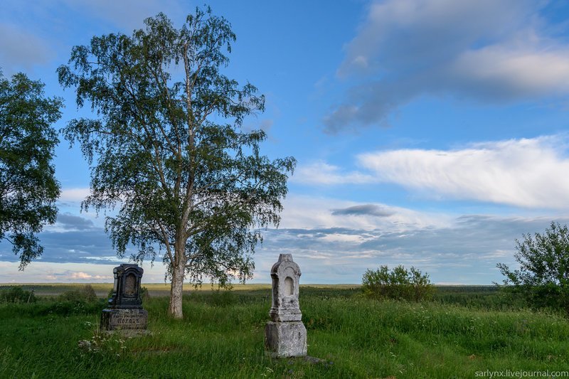 Вдоль Онеги. Деревянный модерн и резные мотивы путешествия, факты, фото