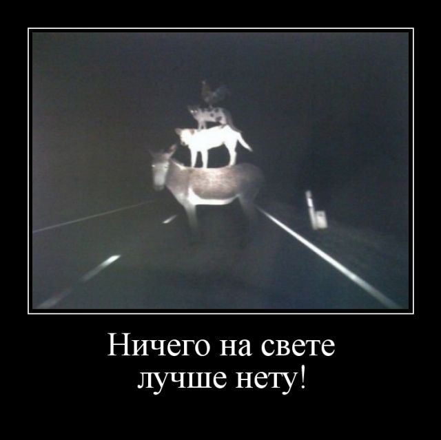 Демотиваторы отличной подборочкой для хорошего настроения!!! Демотиваторы отличной подборочкой для хорошего настроения!!!