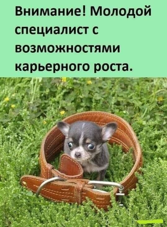 Смешные картинки Смешные картинки
(38 фото)