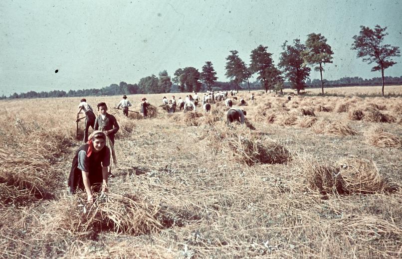 1941 год в цвете. Как жили 75 лет назад 1941 год в цвете. Как жили 75 лет назад