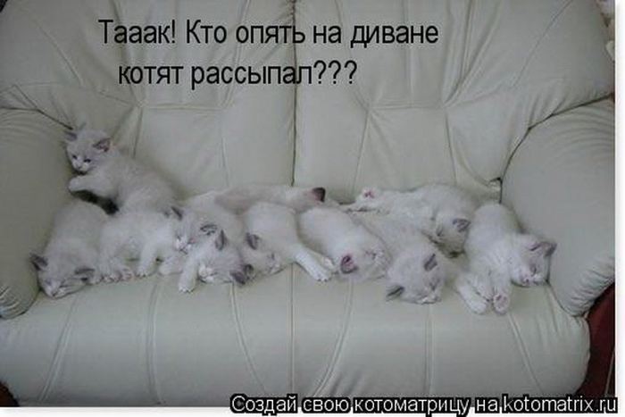 Мысли вслух :)