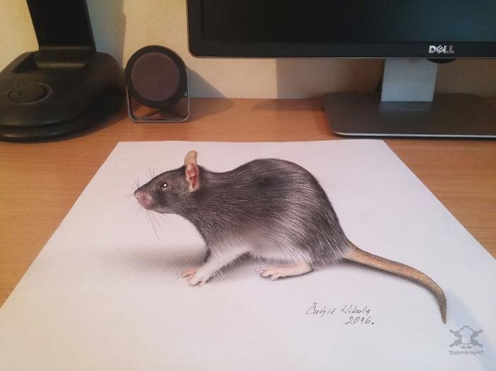 Гиперреалистичные 3D-рисунки Гиперреалистичные 3D-рисунки