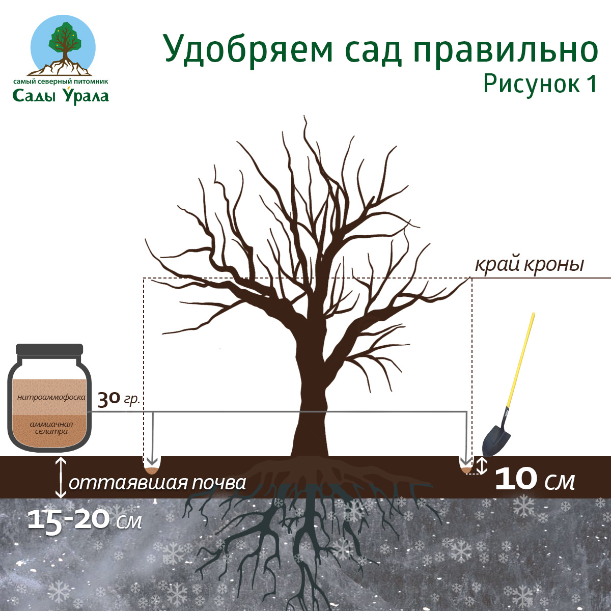 Удобряем сад правильно