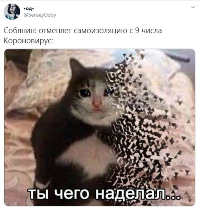Что подумали москвичи о внезапной отмене карантина Что подумали москвичи о внезапной отмене карантина
(18 фото)