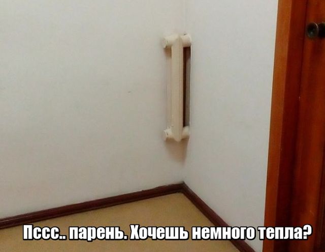 Подборка картинок Подборка картинок