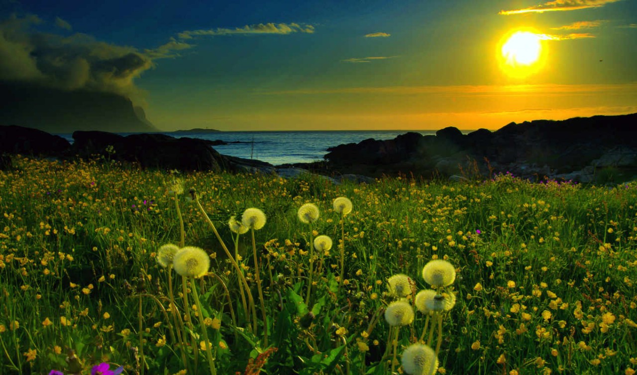 Природа России 4 Природа России 4