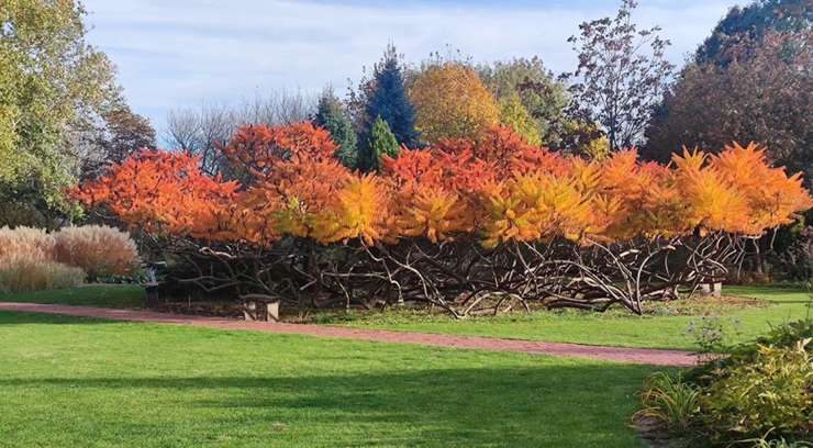 Дела, которые нужно успеть сделать на даче до декабря