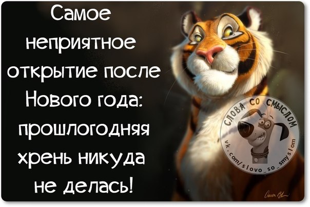 И так... Новый год отпраздновали... И так... Новый год отпраздновали...