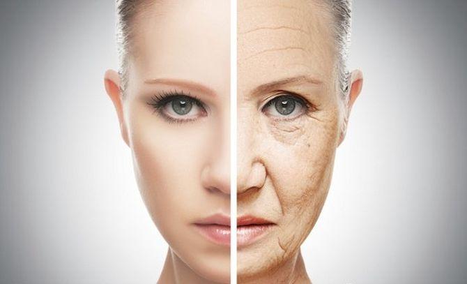 Интересные факты о коже человека, Кожа лица стареет