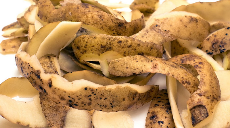Несъедобные части продуктов, которые очень полезны Несъедобные части продуктов, которые очень полезны