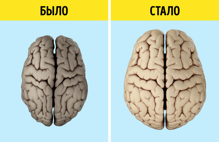 Группа людей обернула старение мозга вспять всего за 6 месяцев, и этот опыт можно повторить самостоятельно