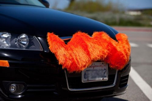 Усатые авто - новое направление в тюнинге (7 фото) Усатые авто - новое направление в тюнинге (7 фото)